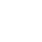 icon17