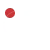 circle icon7